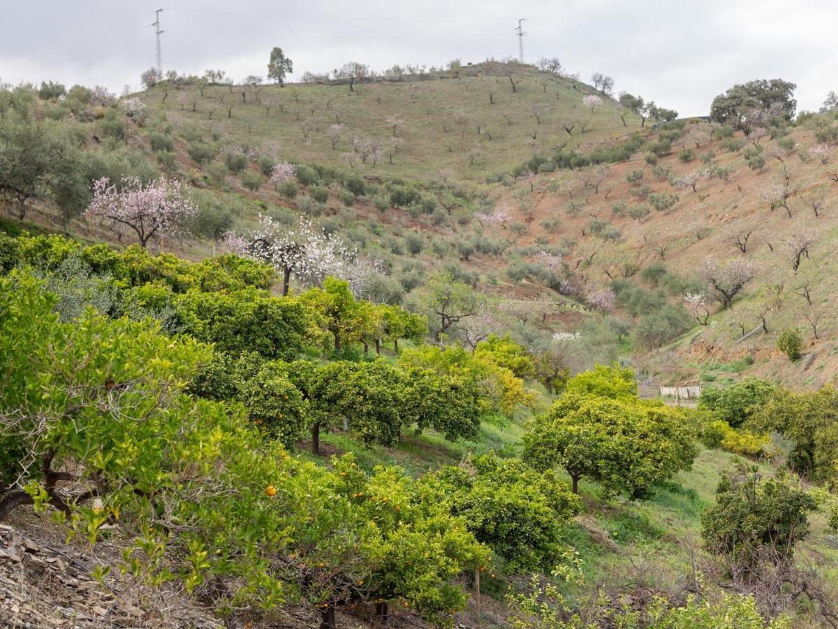 Alojamiento Rural Casa La Era Almogía Exteriör bild
